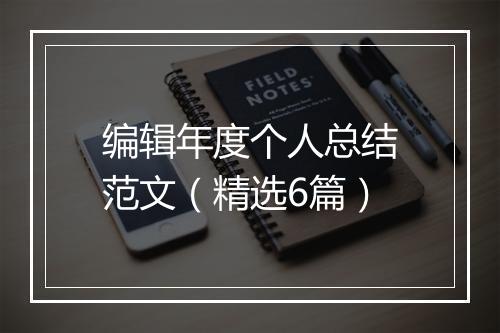 编辑年度个人总结范文（精选6篇）