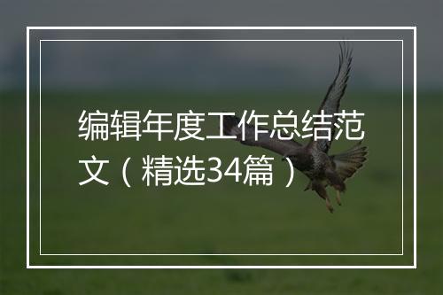 编辑年度工作总结范文（精选34篇）