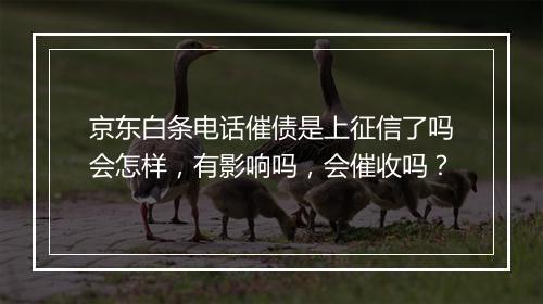 京东白条电话催债是上征信了吗会怎样，有影响吗，会催收吗？
