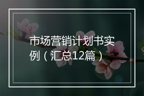 市场营销计划书实例（汇总12篇）