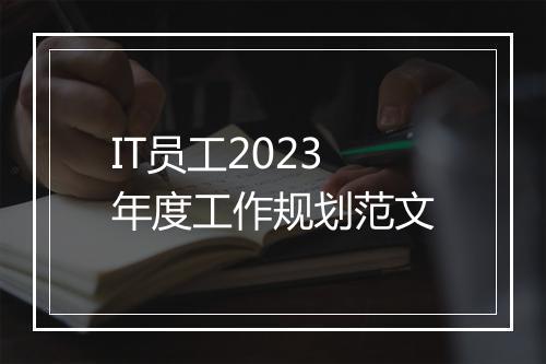 IT员工2023年度工作规划范文
