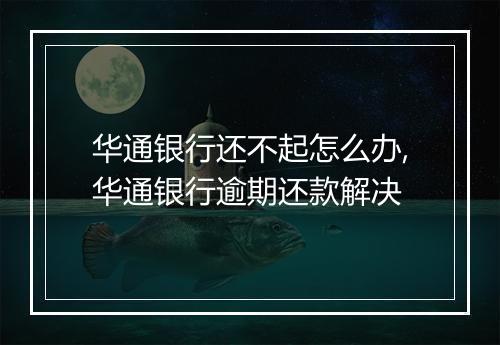 华通银行还不起怎么办,华通银行逾期还款解决