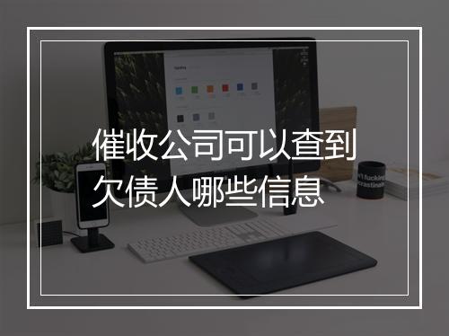 催收公司可以查到欠债人哪些信息