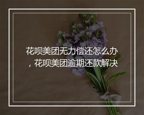 花呗美团无力偿还怎么办，花呗美团逾期还款解决