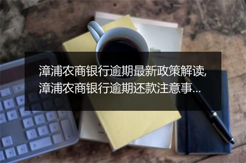漳浦农商银行逾期最新政策解读,漳浦农商银行逾期还款注意事项