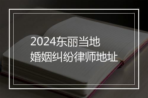2024东丽当地婚姻纠纷律师地址