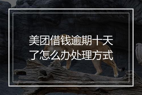 美团借钱逾期十天了怎么办处理方式