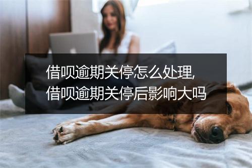 借呗逾期关停怎么处理,借呗逾期关停后影响大吗