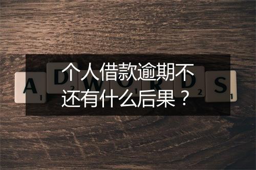 个人借款逾期不还有什么后果？