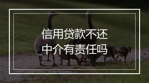 信用贷款不还中介有责任吗
