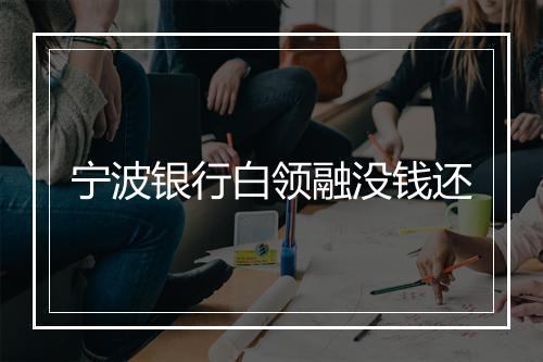 宁波银行白领融没钱还