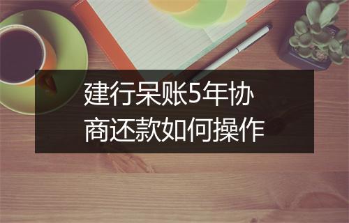 建行呆账5年协商还款如何操作