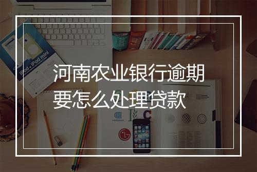 河南农业银行逾期要怎么处理贷款
