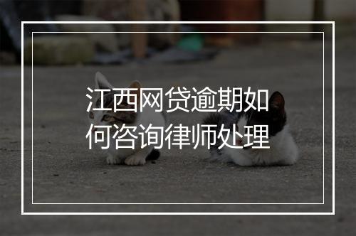 江西网贷逾期如何咨询律师处理