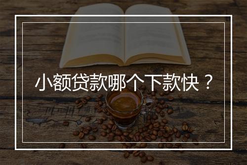 小额贷款哪个下款快？