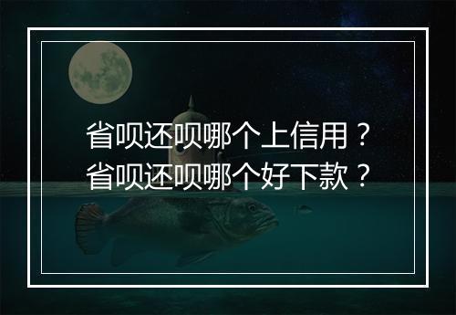 省呗还呗哪个上信用？省呗还呗哪个好下款？