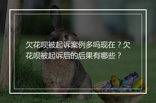 欠花呗被起诉案例多吗现在？欠花呗被起诉后的后果有哪些？