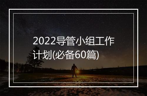 2022导管小组工作计划(必备60篇)