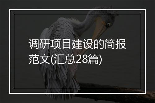 调研项目建设的简报范文(汇总28篇)