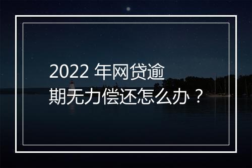 2022 年网贷逾期无力偿还怎么办？