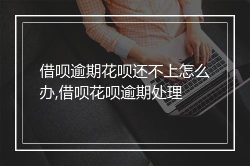 借呗逾期花呗还不上怎么办,借呗花呗逾期处理