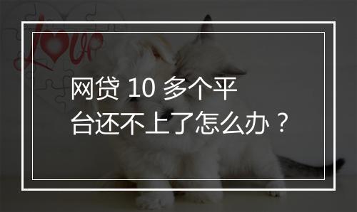 网贷 10 多个平台还不上了怎么办？