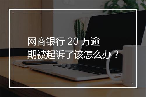 网商银行 20 万逾期被起诉了该怎么办？