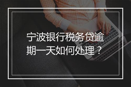 宁波银行税务贷逾期一天如何处理？