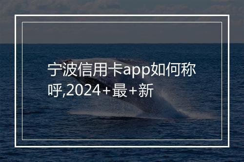宁波信用卡app如何称呼,2024+最+新