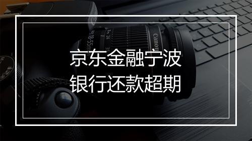 京东金融宁波银行还款超期