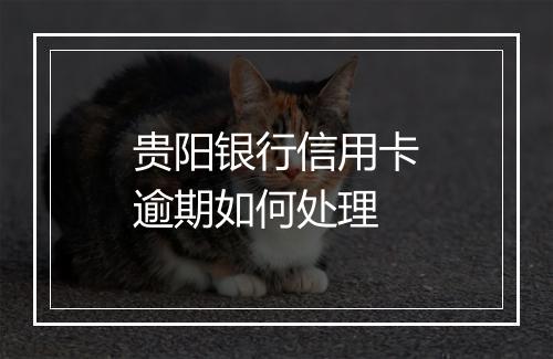 贵阳银行信用卡逾期如何处理