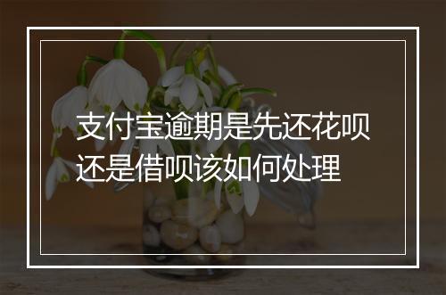 支付宝逾期是先还花呗还是借呗该如何处理
