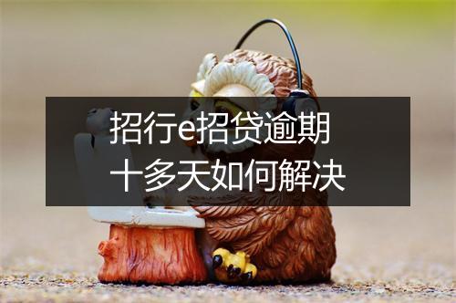 招行e招贷逾期十多天如何解决