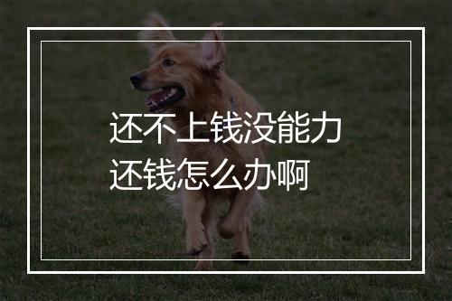 还不上钱没能力还钱怎么办啊