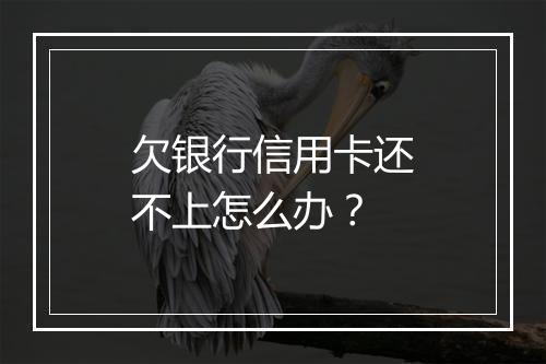 欠银行信用卡还不上怎么办？