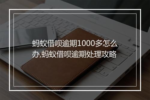 蚂蚁借呗逾期1000多怎么办,蚂蚁借呗逾期处理攻略