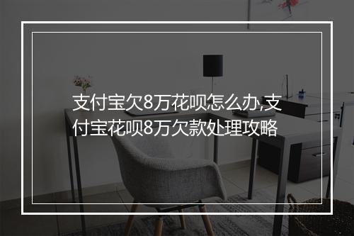 支付宝欠8万花呗怎么办,支付宝花呗8万欠款处理攻略