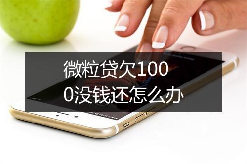 微粒贷欠1000没钱还怎么办