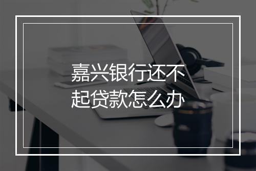 嘉兴银行还不起贷款怎么办