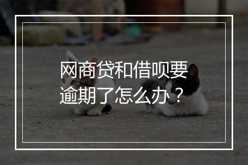 网商贷和借呗要逾期了怎么办？