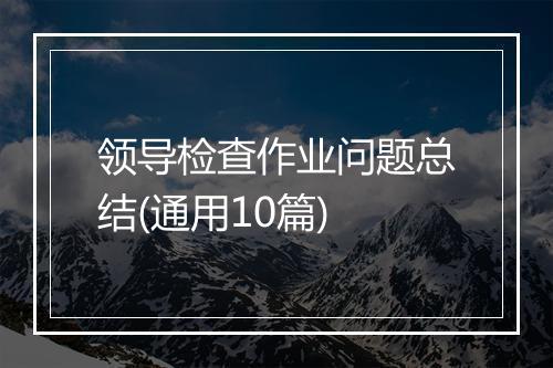领导检查作业问题总结(通用10篇)