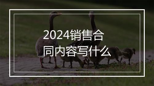 2024销售合同内容写什么