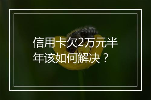 信用卡欠2万元半年该如何解决？