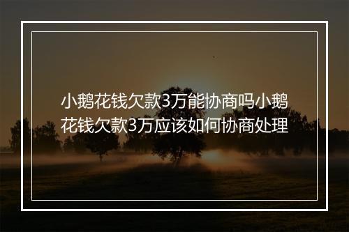 小鹅花钱欠款3万能协商吗小鹅花钱欠款3万应该如何协商处理