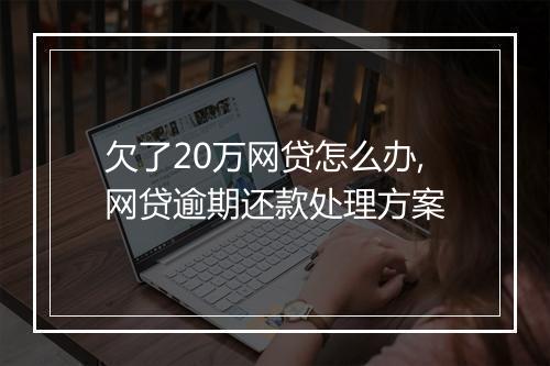 欠了20万网贷怎么办,网贷逾期还款处理方案
