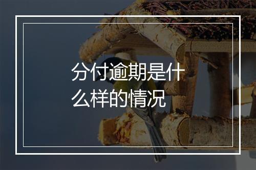 分付逾期是什么样的情况