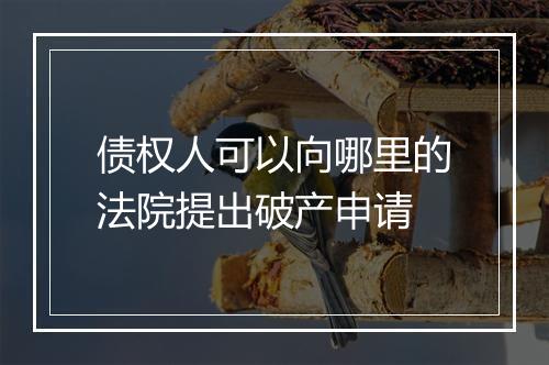 债权人可以向哪里的法院提出破产申请