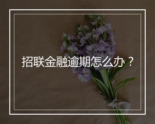 招联金融逾期怎么办？