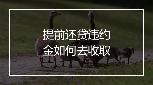 提前还贷违约金如何去收取
