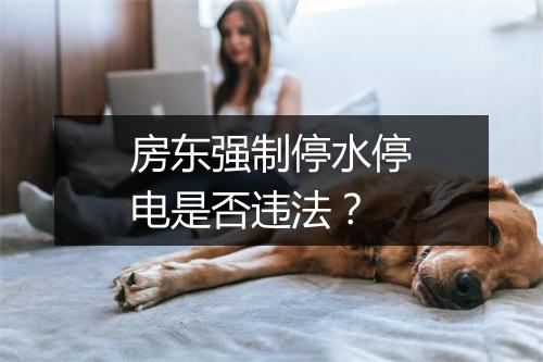 房东强制停水停电是否违法？